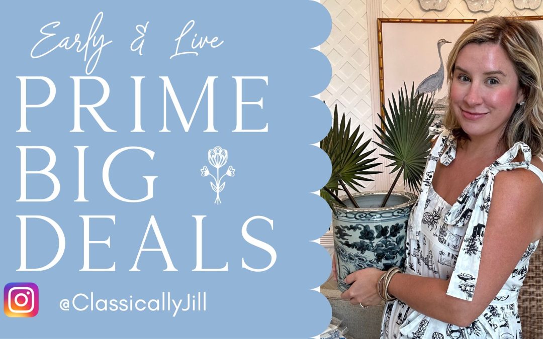 My Picks from Prime Big Deal Days! Things I Own and Love