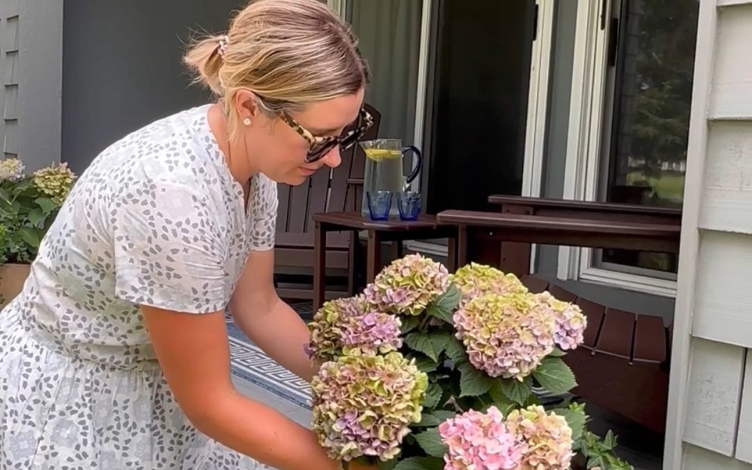 Tips for Living in a Small Space as a Family of 4 | How to Maximize Space in a Condo