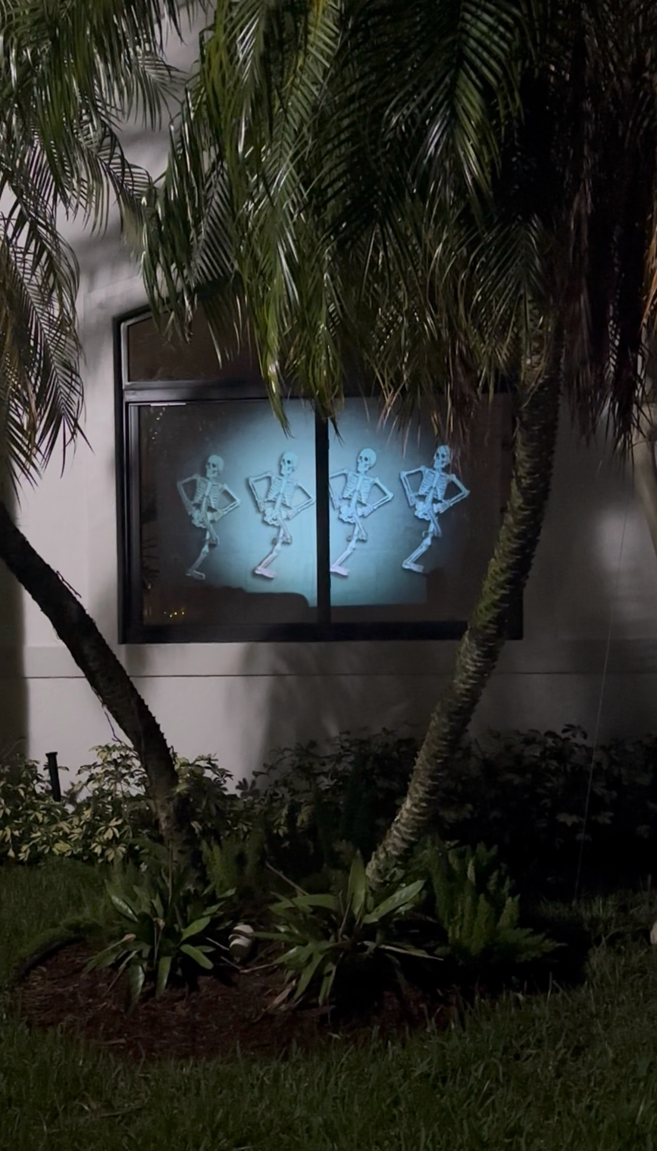 How to Create a Spooky Halloween Window Projection