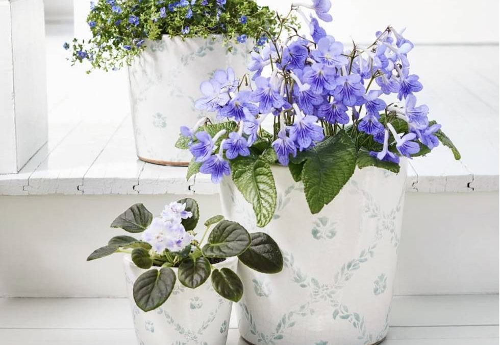 New! Pottery Barn Collab Collection with Julia Berolzheimer